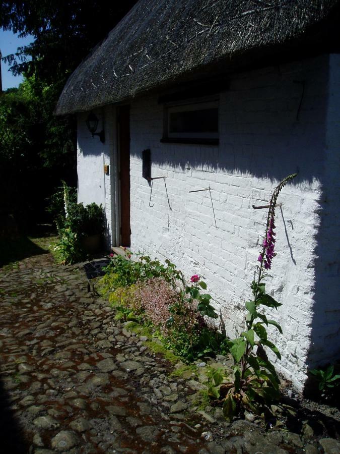 Stable Cottage Devizes Kültér fotó